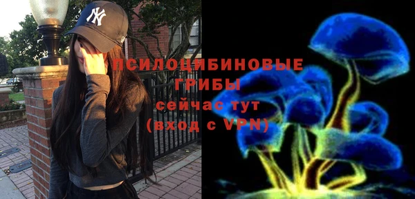 spice Рославль