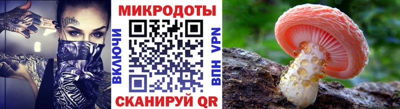 хочу   Белокуриха  Галлюциногенные грибы прущие грибы 